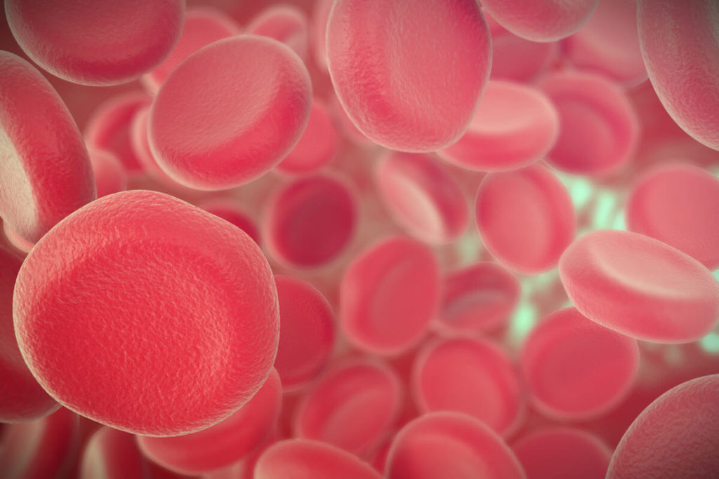 Ozone Therapy Blood Cells