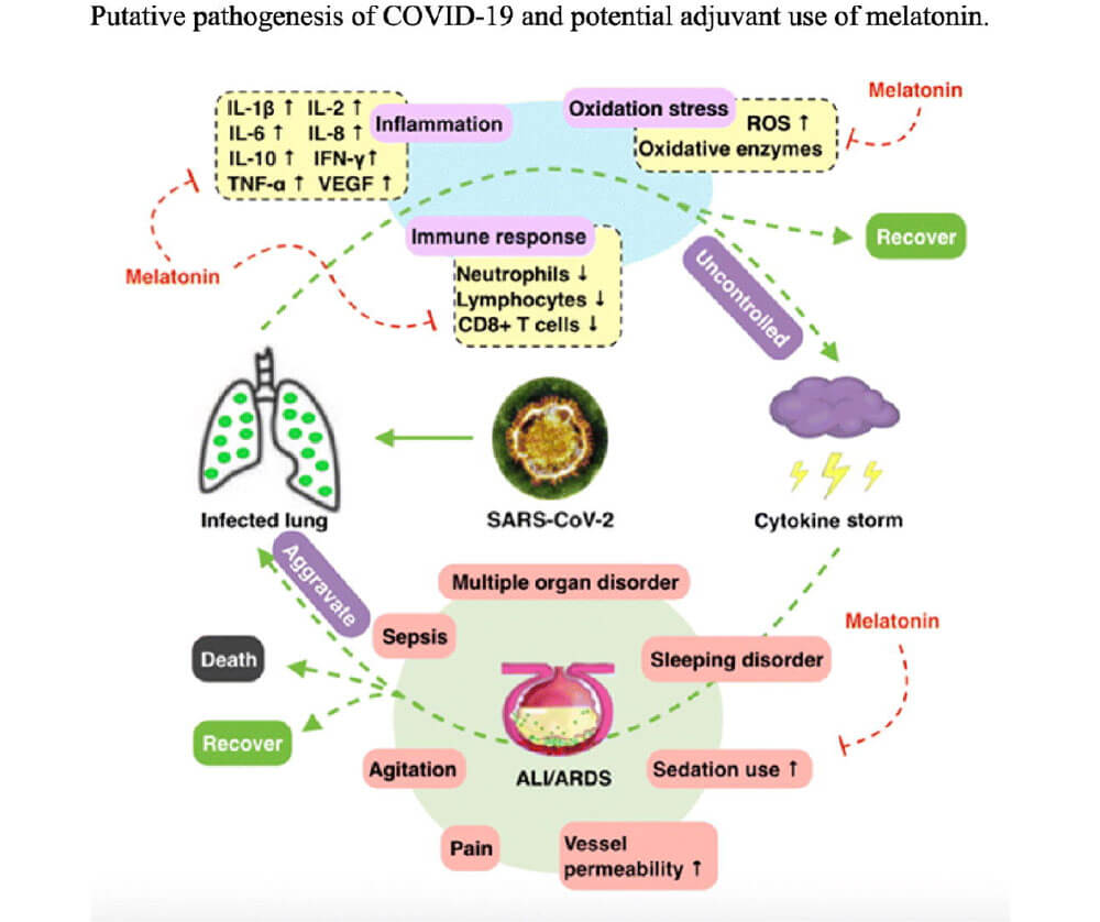 Pathology of COVID19 and melatonin as a treatment