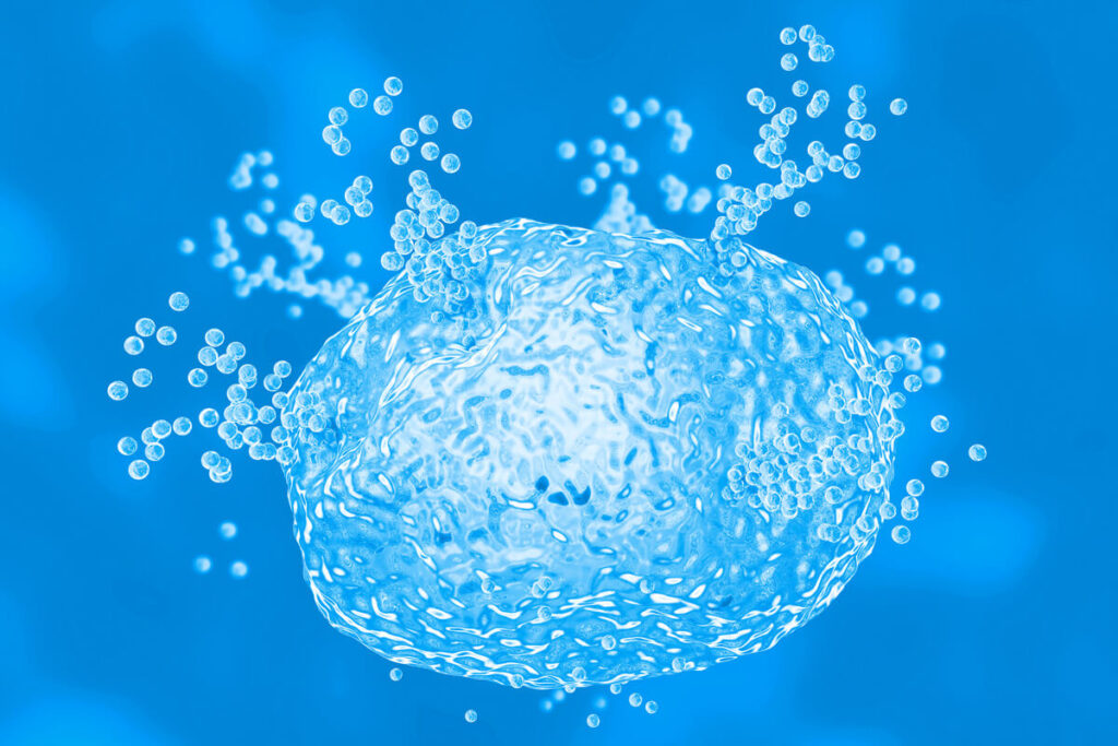 Mast Cell Activation Syndrome