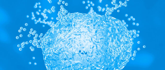 Mast Cell Activation Syndrome